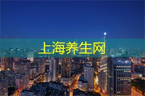 爱上海：上海俯瞰夜景的地方