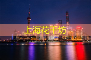 爱上海：一直以来都在持续发展和改革中不断追求更高的城市规划标准