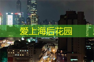 这样的生活不适合我