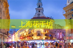 上海娱乐网：上海的青年创业文化